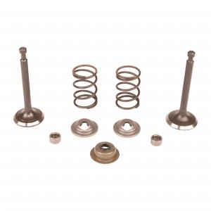 VALVE KIT Husqvarna (5993492-45)