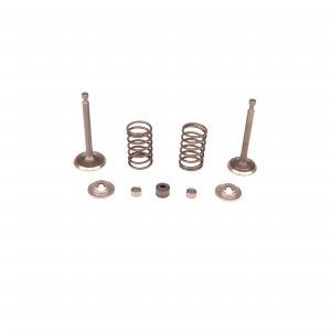 VALVE KIT ROCKER ARM Husqvarna (5993492-49)