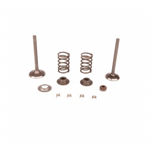 VALVE KIT Husqvarna (5993492-61)