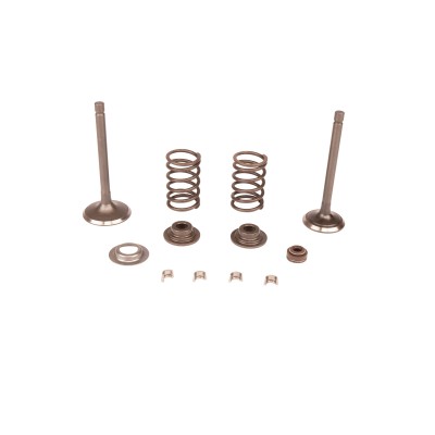 VALVE KIT Husqvarna (5993492-61)