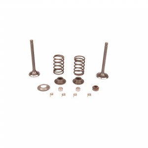 VALVE KIT Husqvarna (5993493-08)