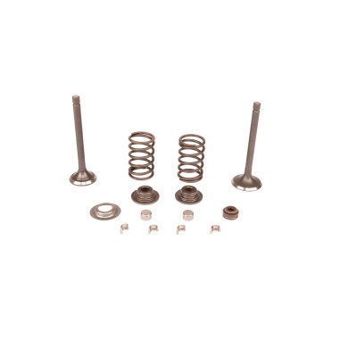 VALVE KIT Husqvarna (5993493-08)