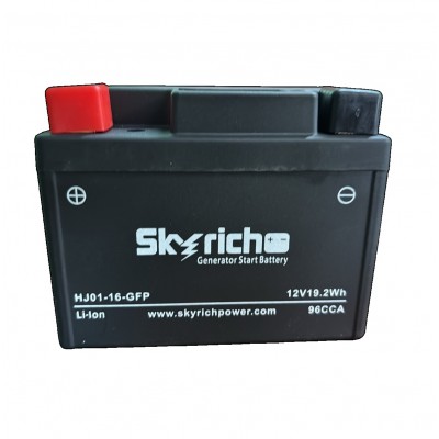 Аккумулятор Skyrich Li-ion HJ01L-16-GFP 12 В/1.6 Ач для инверторного генератора EnerSol EPG-4000ISE и других производителей, 10х5х8 см (06-23-4000ISE-6)